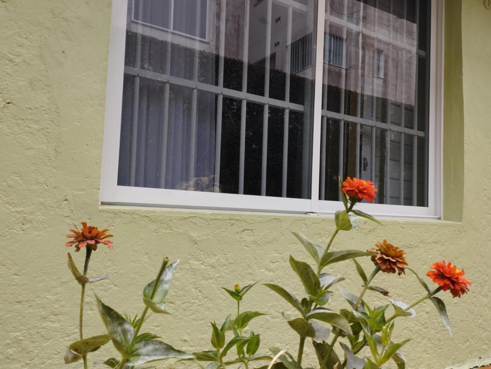 Florianópolis Charmoso Apto Com Clima De Casa Em Canasvieiras מראה חיצוני תמונה